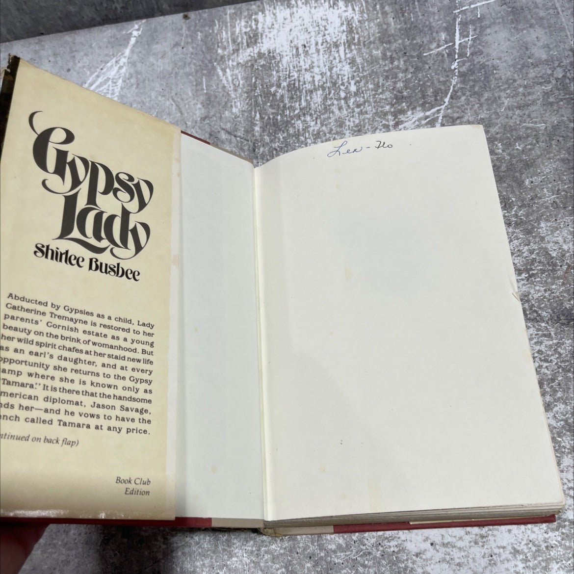 gypsy lady book, by shirlee busbee, 1977 Hardcover image 4