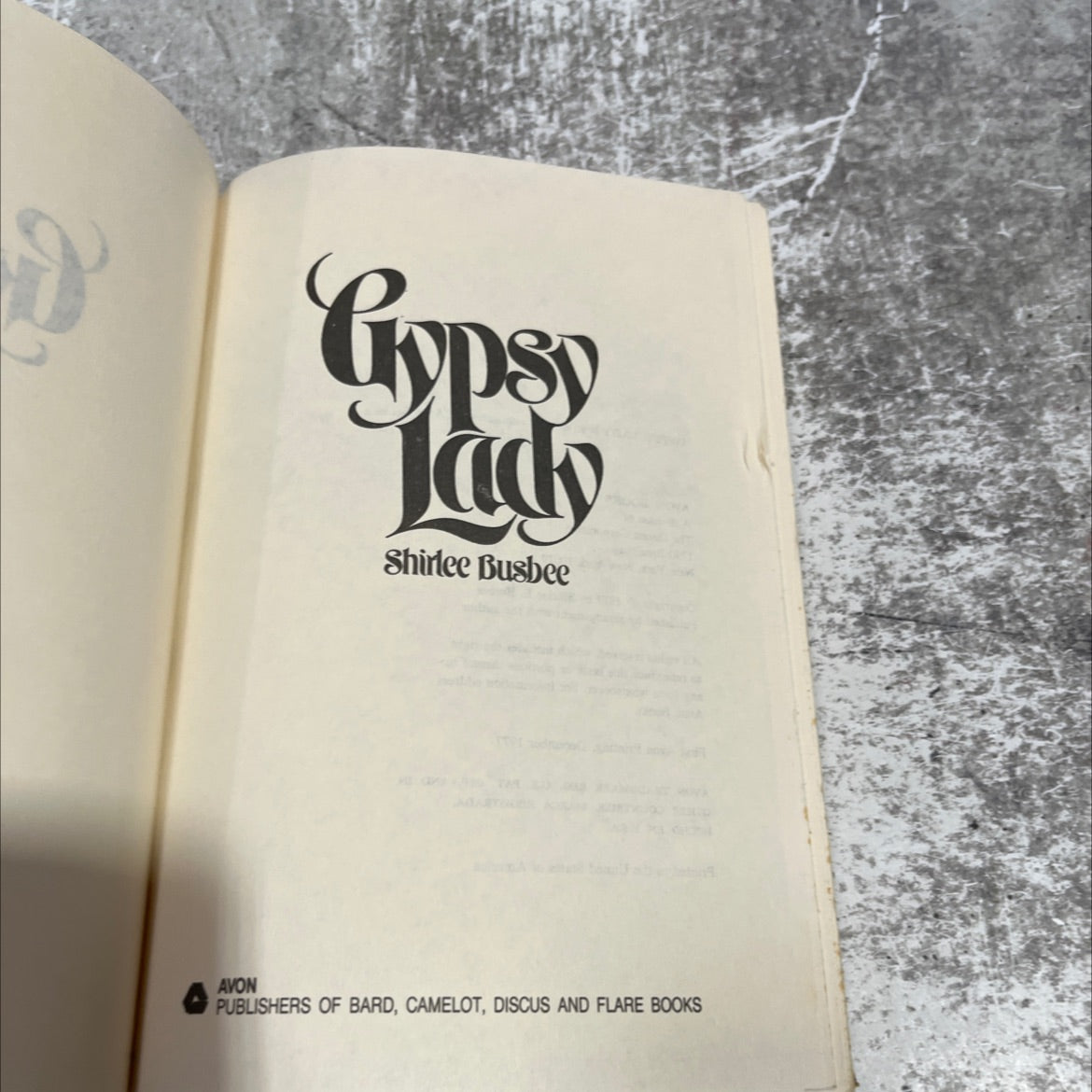 gypsy lady book, by shirlee busbee, 1977 Hardcover image 2