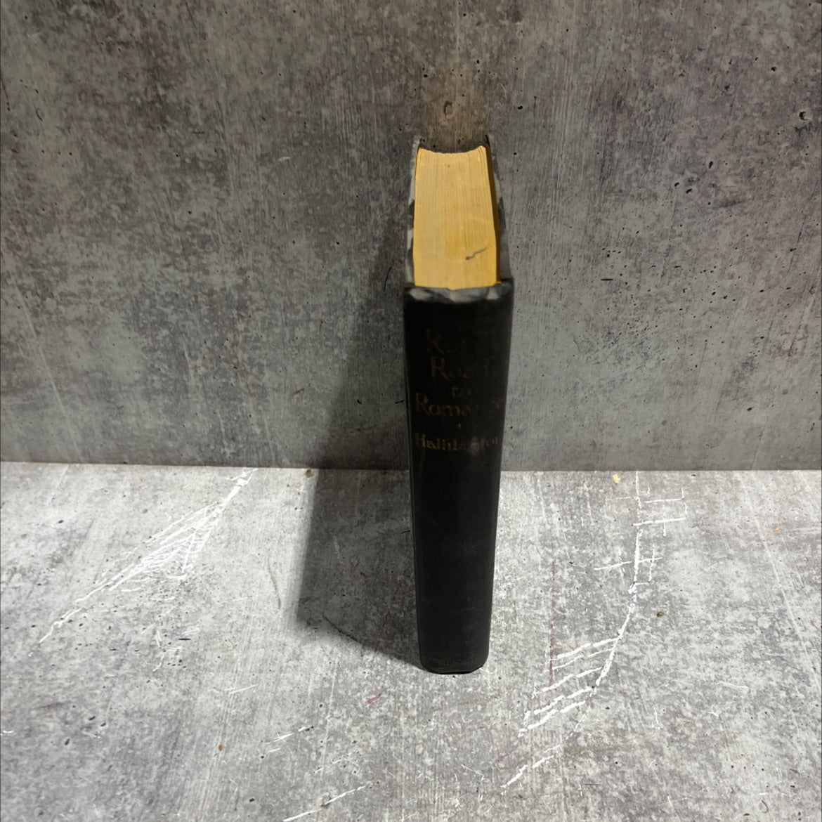 halliburton before the taj mahal book, by richard halliburton, 1925 Hardcover image 4