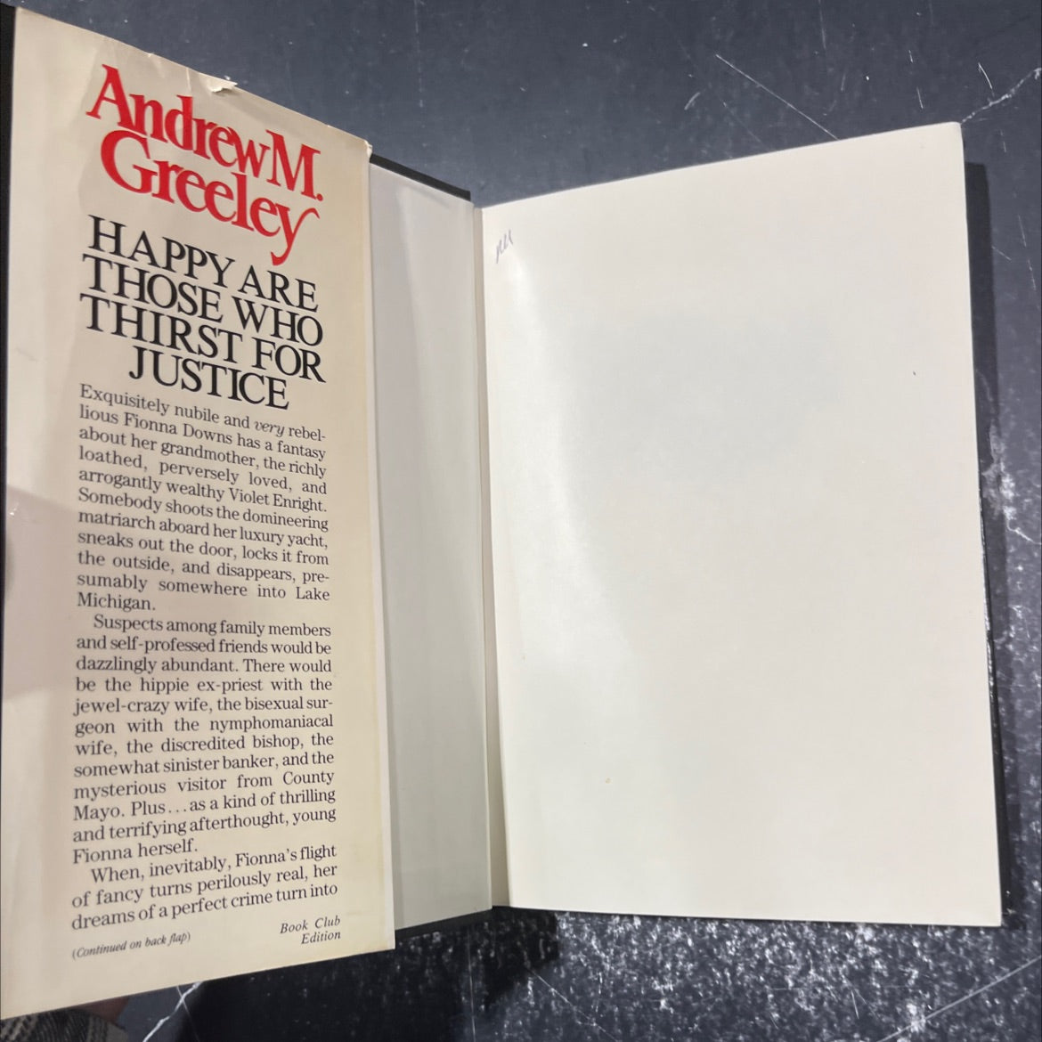 happy are those who thirst for justice book, by andrew m. greeley, 1987 Hardcover image 4