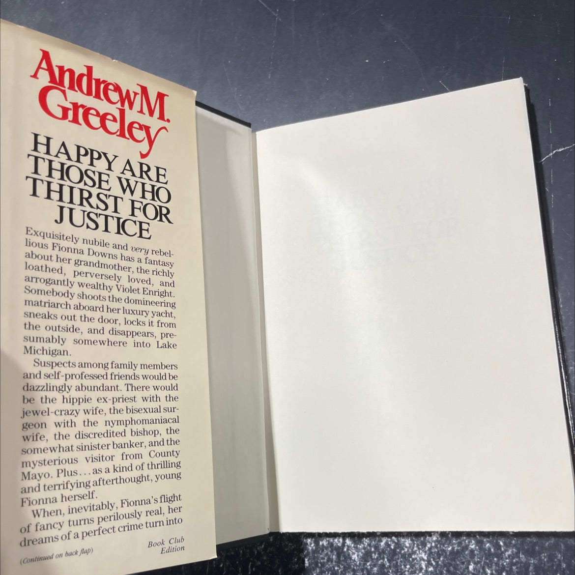 happy are those who thirst for justice book, by andrew m. greeley, 1987 Hardcover image 4