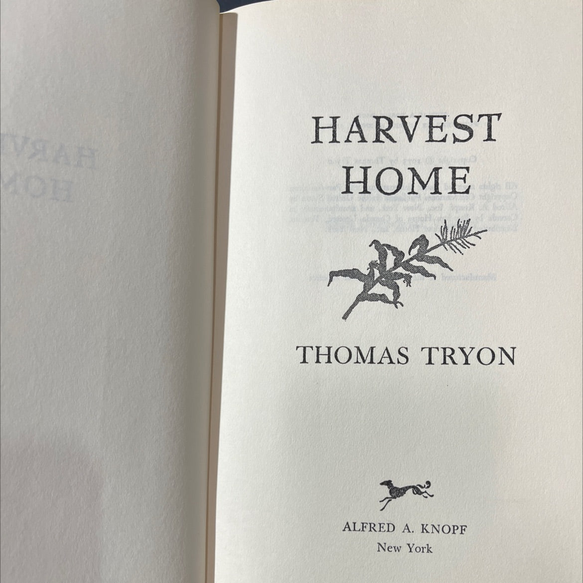 harvest home book, by thomas tryon, 1973 Hardcover image 2