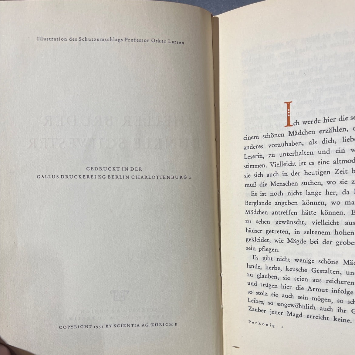 heller bruder dunkle schwester book, by j. f. perkonig, 1951 Hardcover image 3