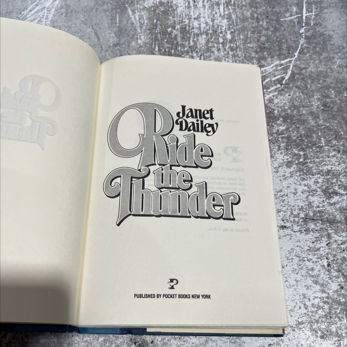 hide the hmider book, by Janet Dailey, 1980 Hardcover image 2