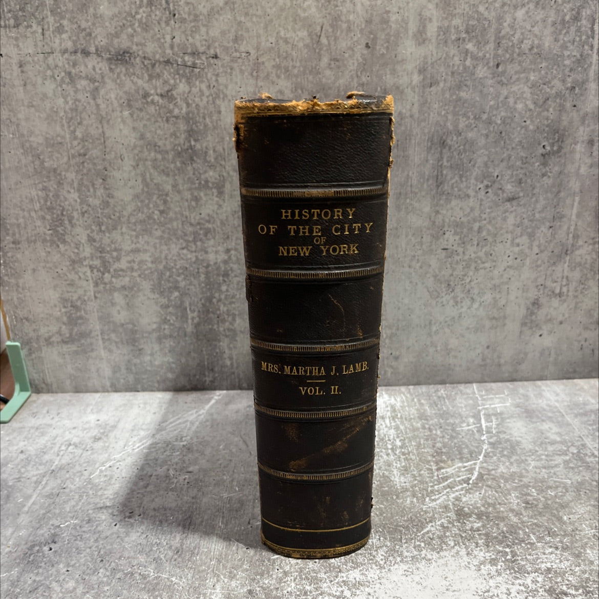 history of the city of new york: its origin, rise and progress book, by mrs. martha j. lamb, 1880 Leather image 4