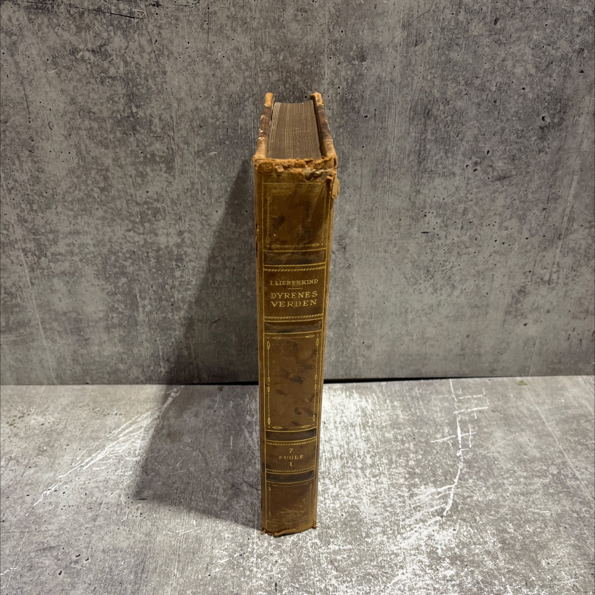 hjelmkasuar book, by ingvald lieberkind, 1937 Leather image 4