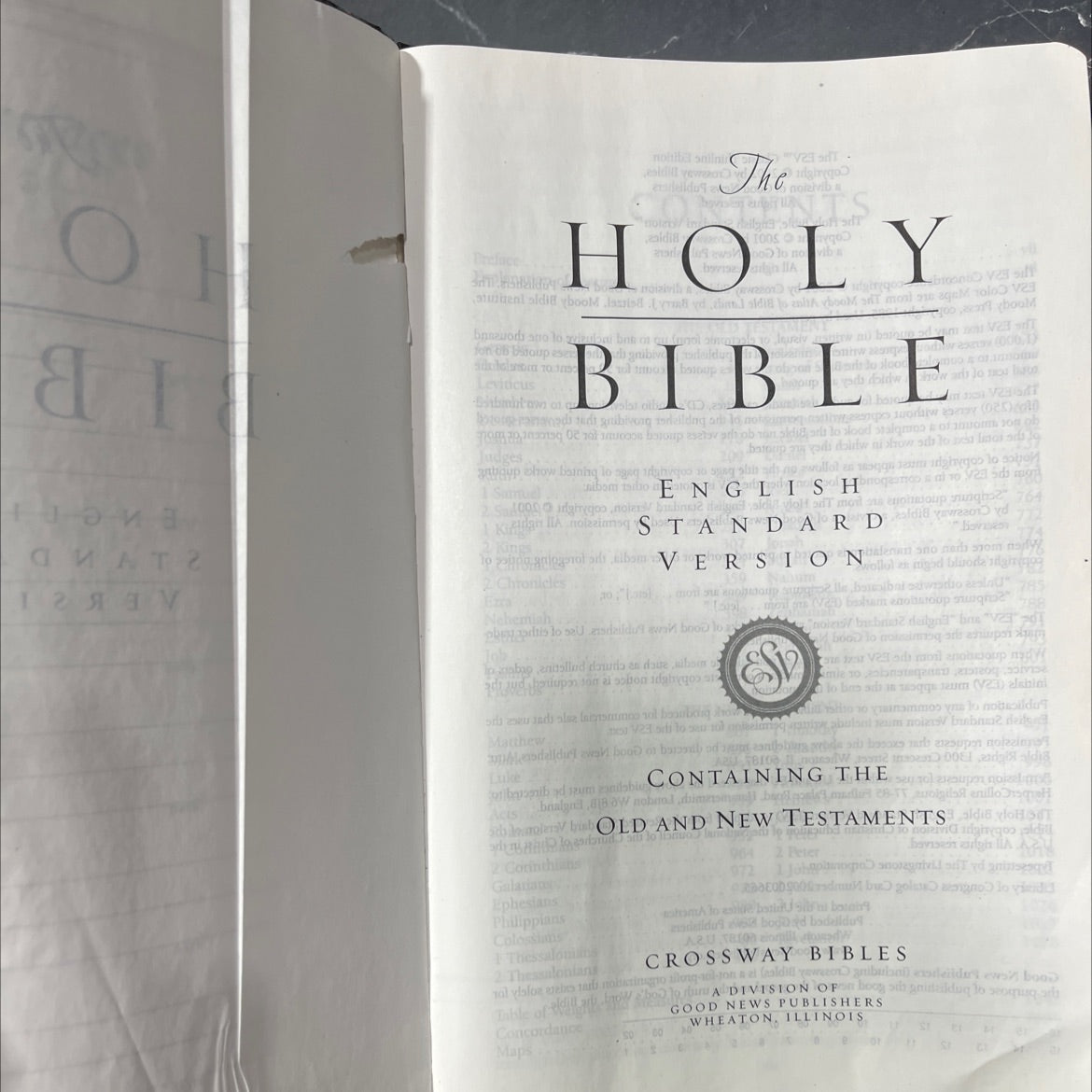 holy bible, english standard version book, by unknown, 2001 Leather image 2
