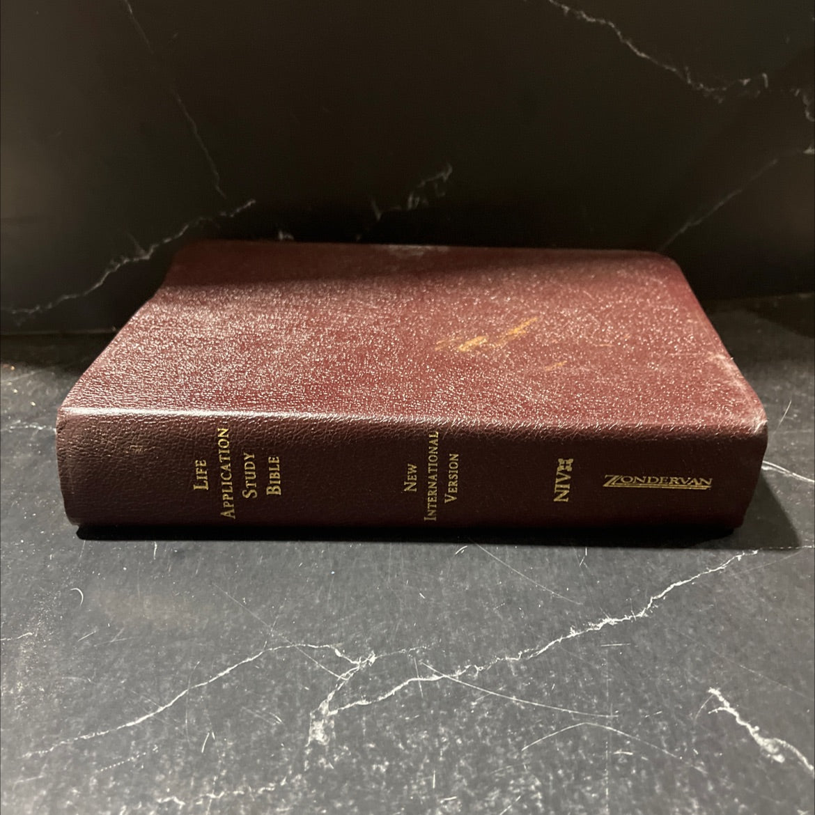 holy bible, new international version, life application study bible book, by Tyndale House Publishers, 2005 Leather image 1