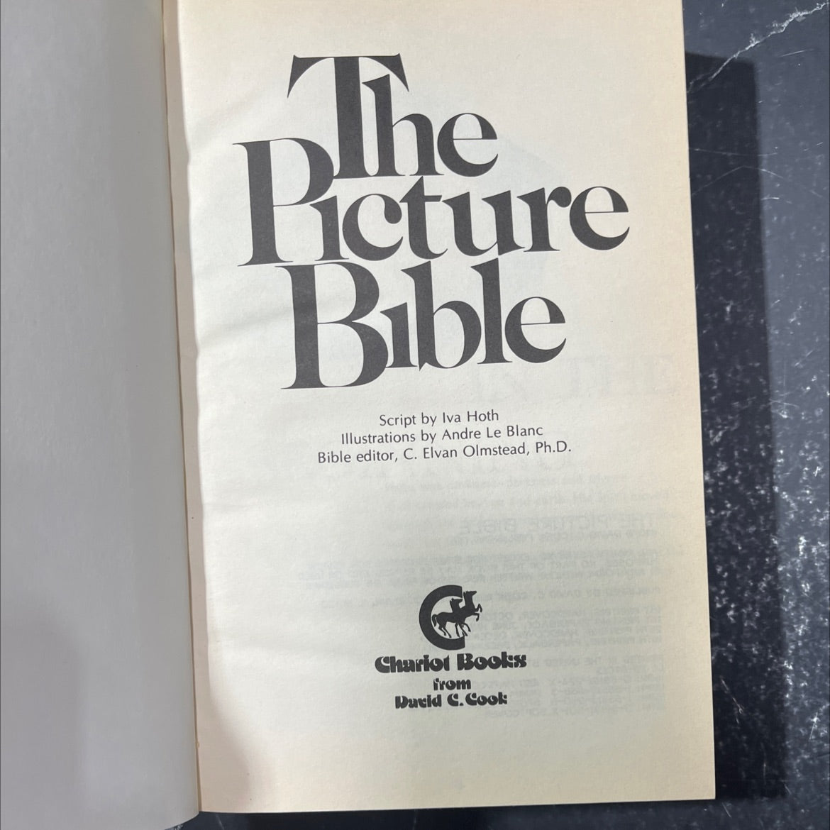 holy bible: the picture bible book, by Iva Hoth, 1990 Hardcover image 2