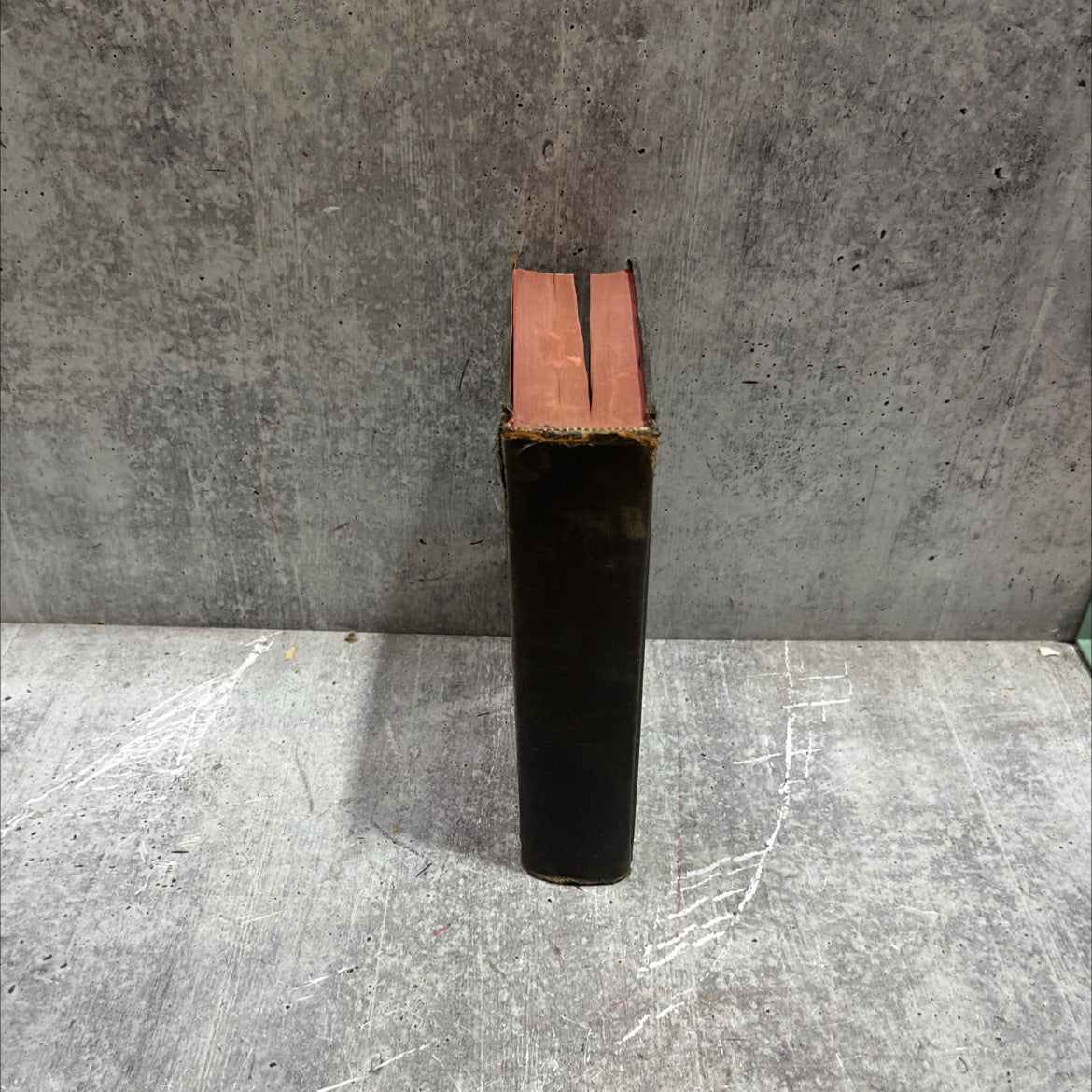 holy bible containing the old and new testaments translated out of the original tongues and with the former image 4
