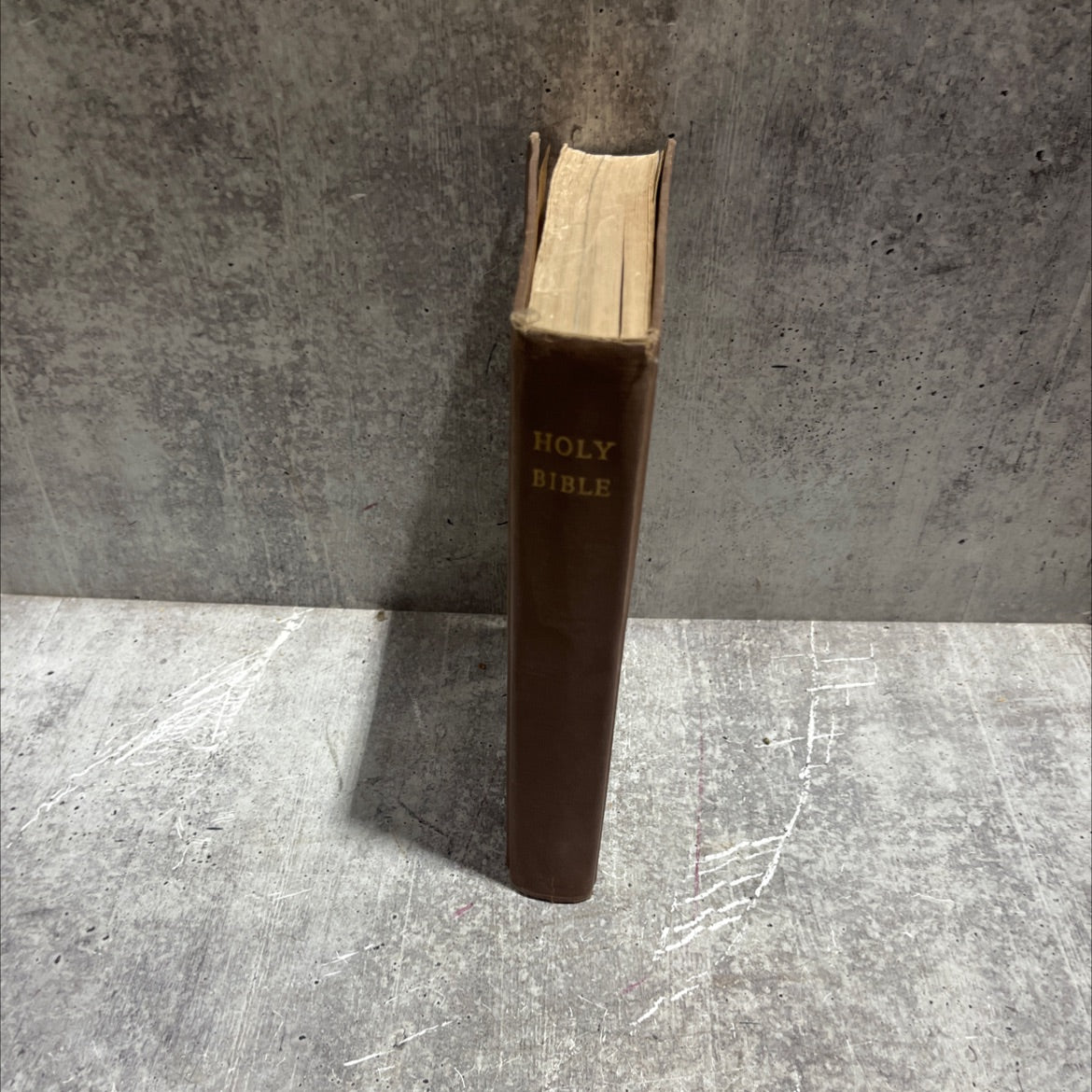 holy bible containing the old and new testaments translated out of the original tongues and with the former image 4