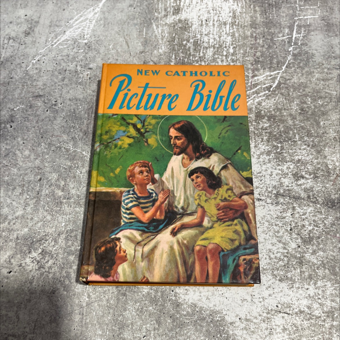 holy bible new catholic picture bible popular stories from the old and new testaments book, by rev. lawrence g. image 1