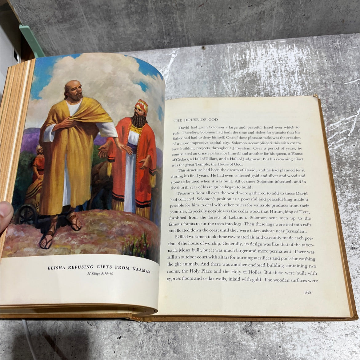 holy bible stories that live book, by Patricia Summerlin Martin, 1966 Hardcover image 4