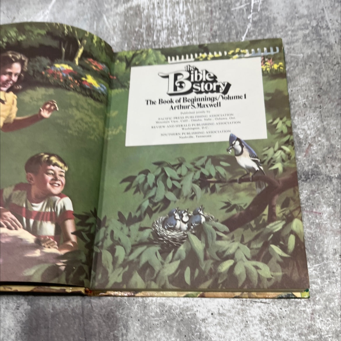 holy bible story b the book of beginnings/volume 1 book, by Arthur S. Maxwell, 1953 Hardcover image 2