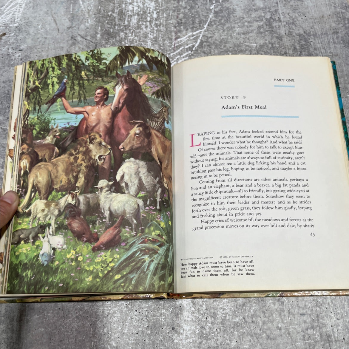 holy bible story b the book of beginnings/volume 1 book, by Arthur S. Maxwell, 1953 Hardcover image 4