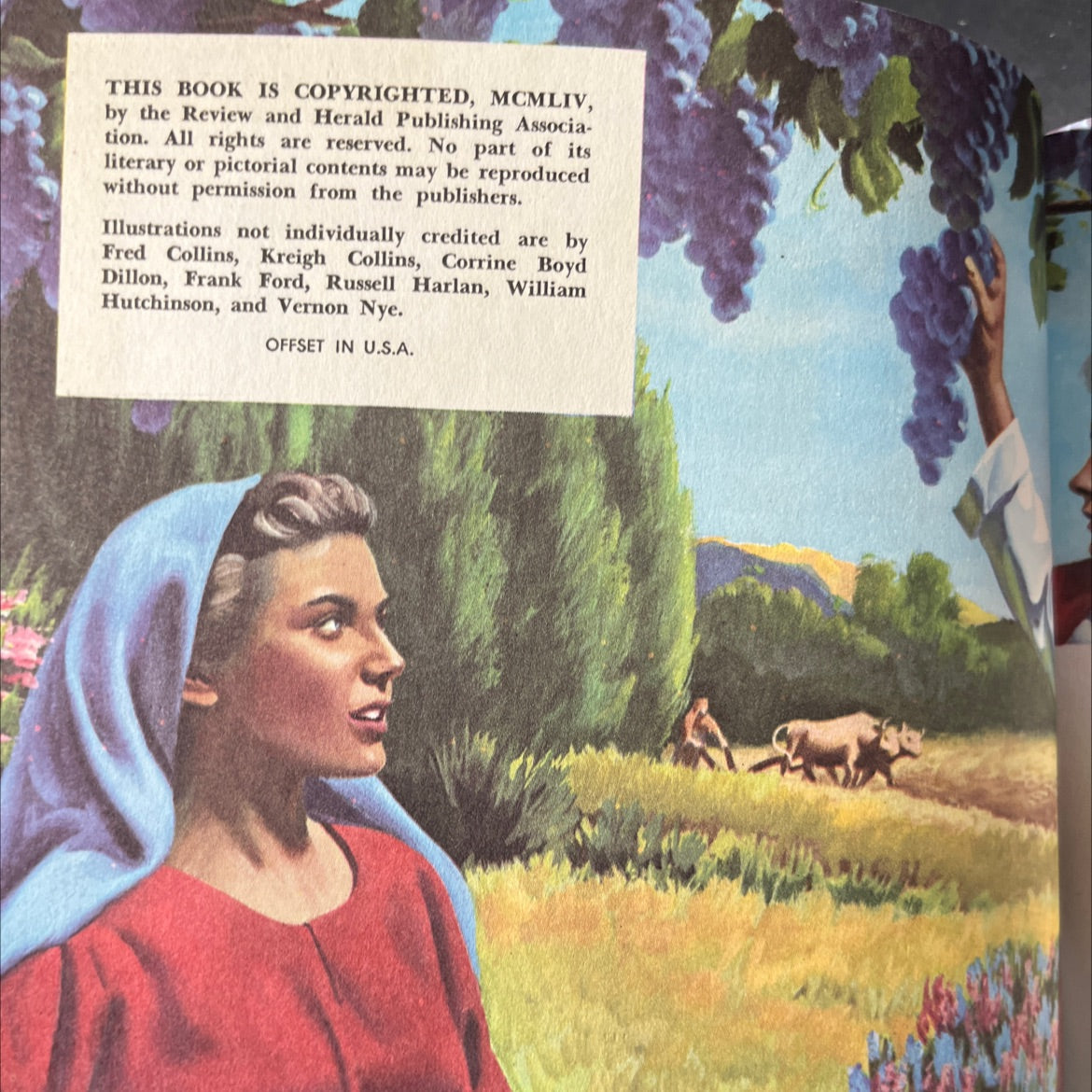 holy bible story trials and triumphs/volume3 book, by Arthur S. Maxwell, 1954 Hardcover image 3