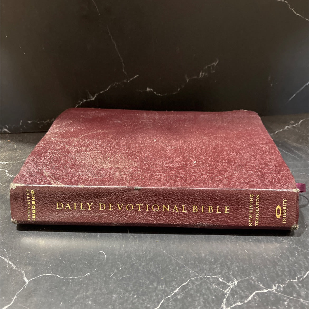 holy bible the iworship daily devotional bible book, by not stated, 2003 Leather image 1