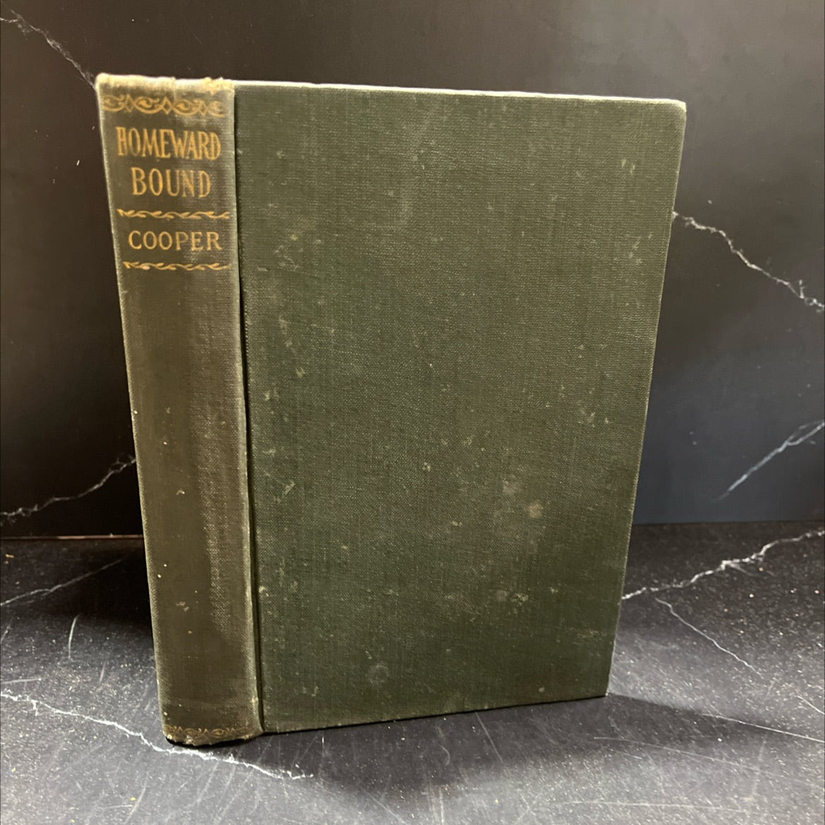 homeward bound the chase book, by j. fenimore cooper, 1900 Hardcover image 1