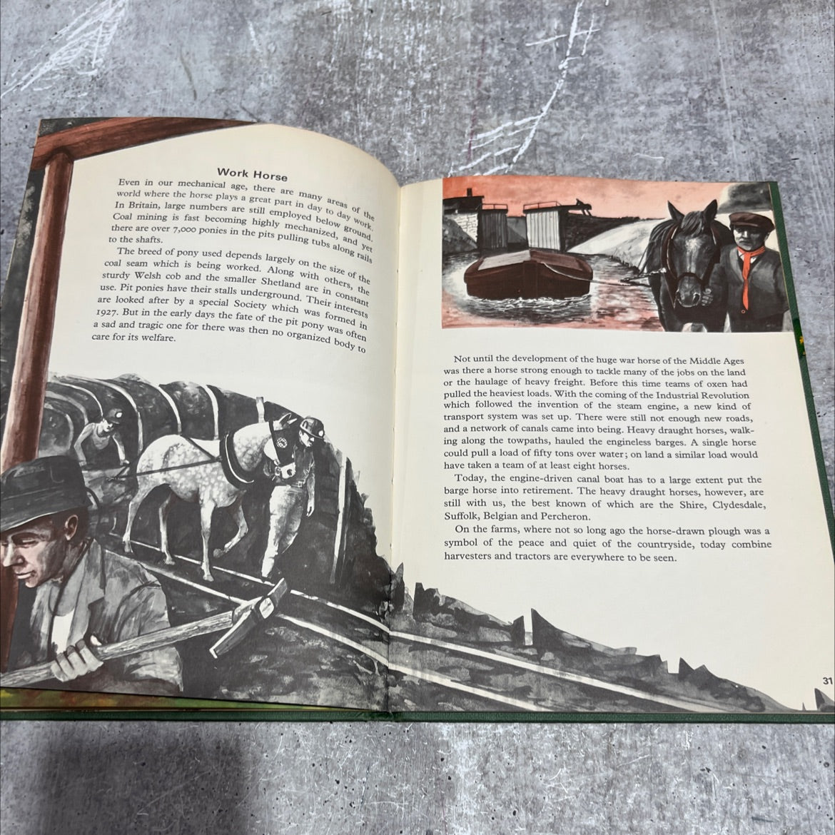 horse and man book, by patrick joyce, 1964 Hardcover image 4