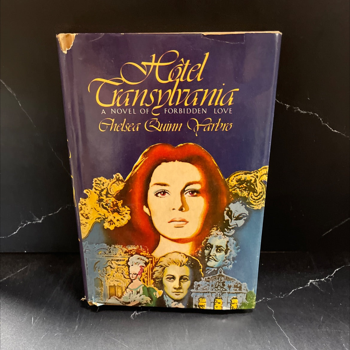 hotel transylvania a novel of forbidden love book, by chelsea quinn yarbro, 1978 Hardcover image 1