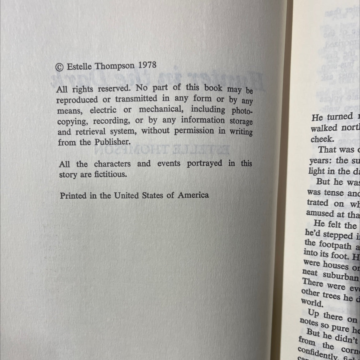 hunter in the dark book, by estelle thompson, 1978 Hardcover image 3