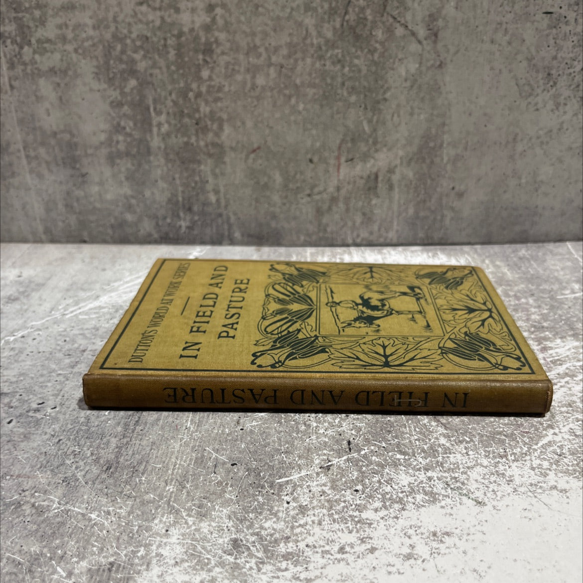 in field and pasture book, by maude barrows dutton, 1905 Hardcover image 4