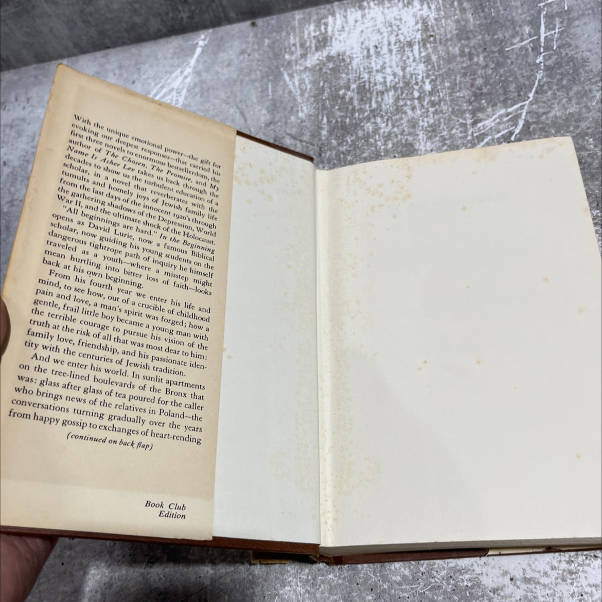 in the beginning book, by Chaim Potok, 1975 Hardcover image 4