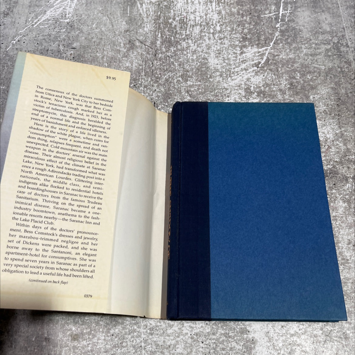 in the shadow of the white plague book, by Elizabeth Mooney, 1979 Hardcover image 4