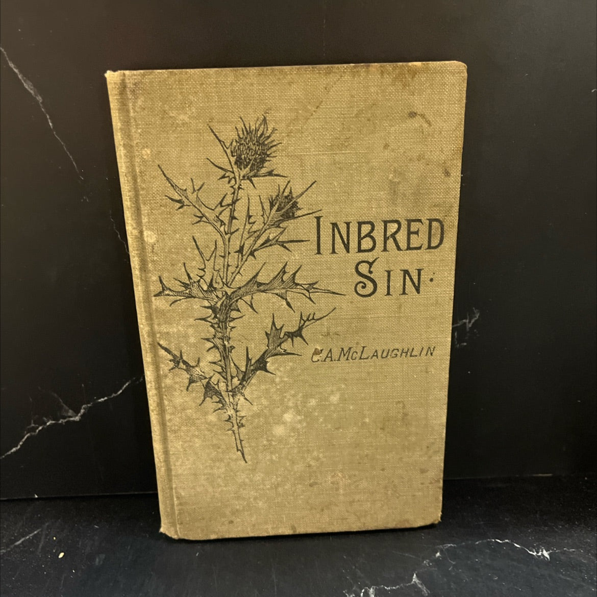 inbred sin book, by rev. george a. mclaughlin, 1902 Hardcover image 1