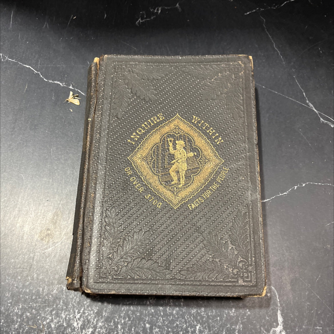 inquire within for anything you want to know, or over three thousand seven hundred facts worth knowing book, by maritan image 1