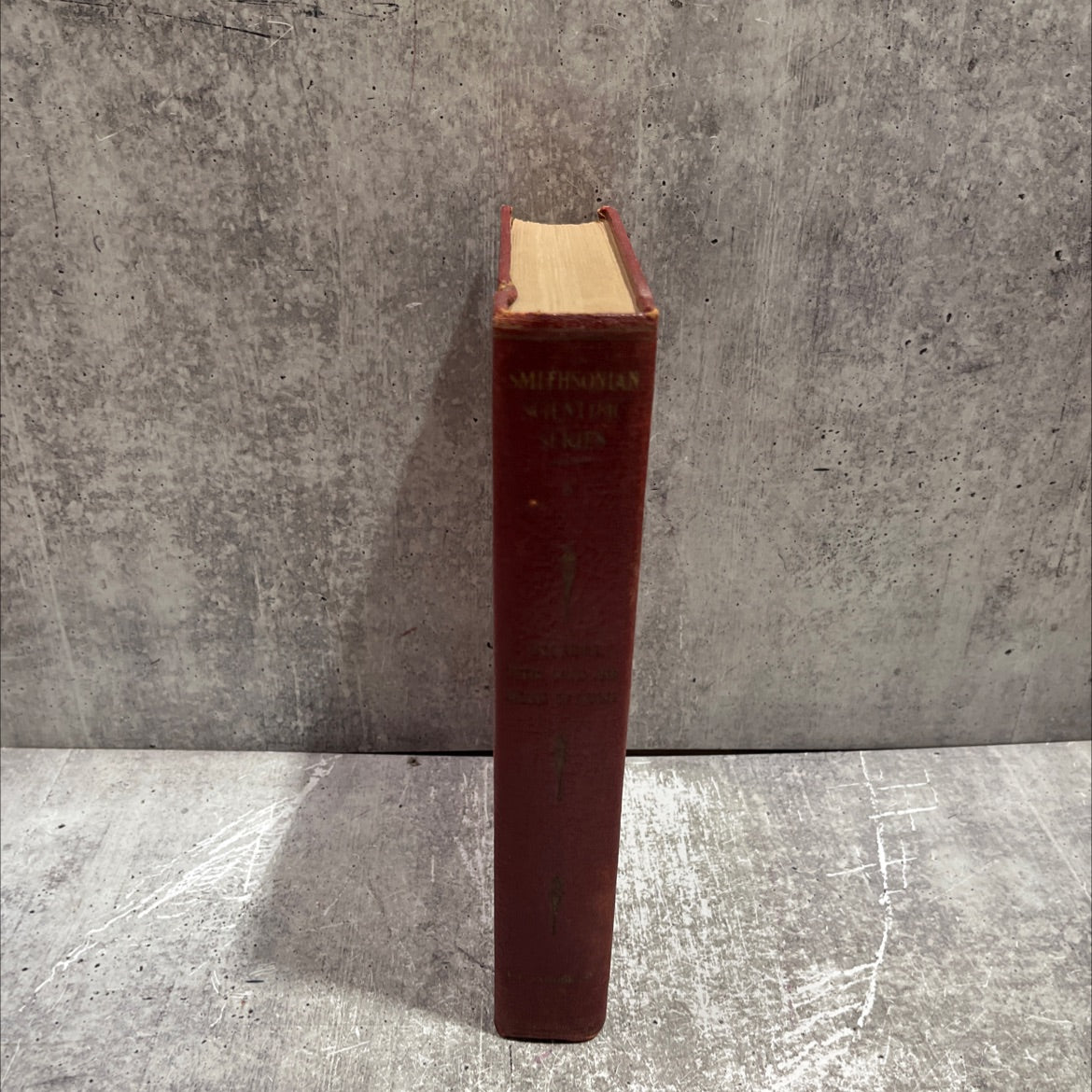 insects their ways and means of living book, by robert evans snodgrass, 1934 Hardcover image 4