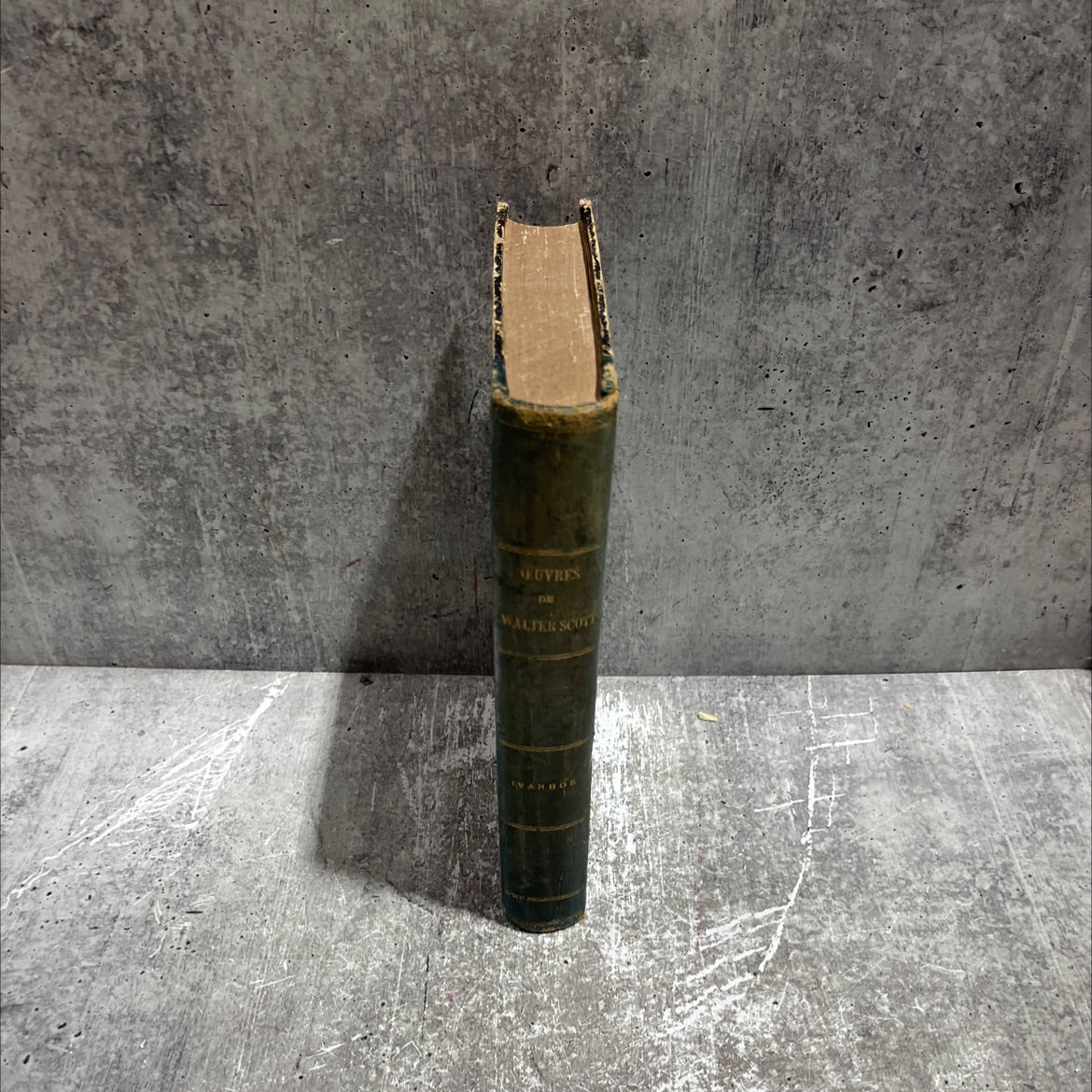 ivanhoe book, by walter scott, 1869 Leather image 3