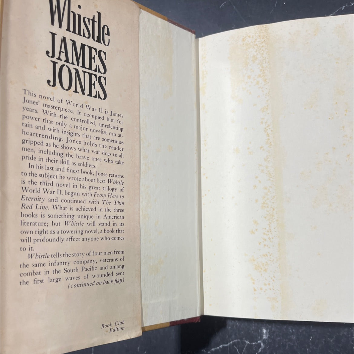 james jones whistle book, by Gloria Jones, 1978 Hardcover image 4