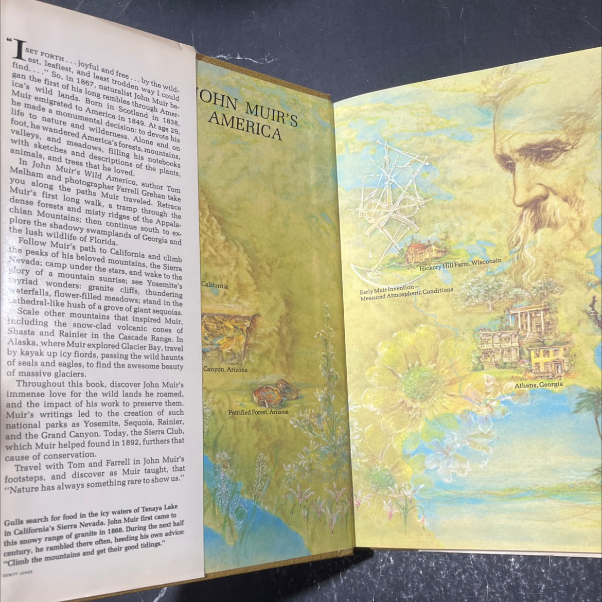 john muir's wild america book, by tom melham, 1976 Hardcover image 4