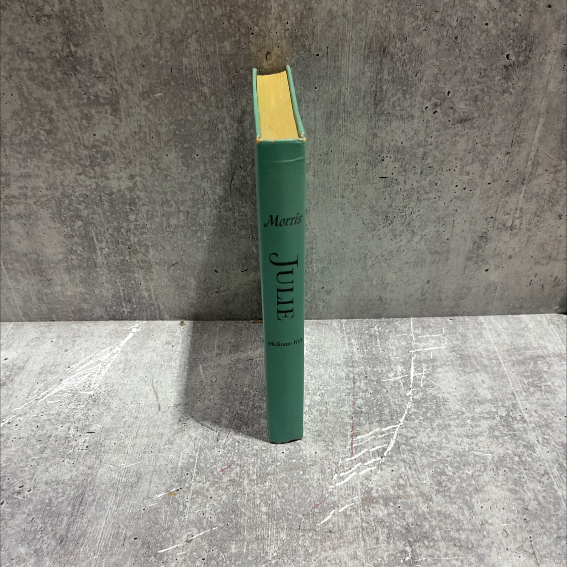 julie book, by jane kesner morris, 1952 Hardcover image 4