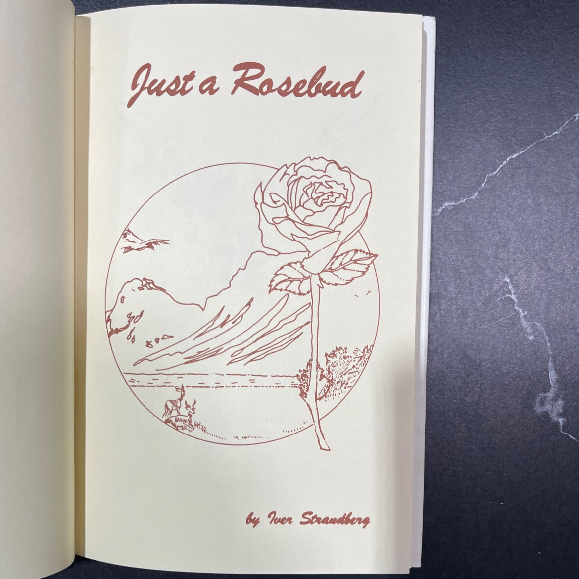 just a rosebud book, by Iver Strandberg, 1980 Hardcover image 2