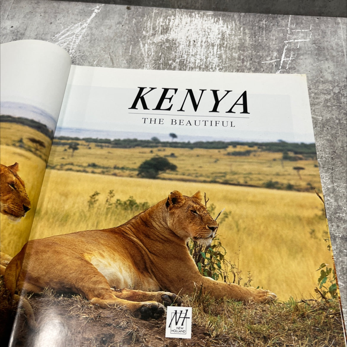 kenya the beautiful book, by Michael Brett, 1995 Hardcover image 2