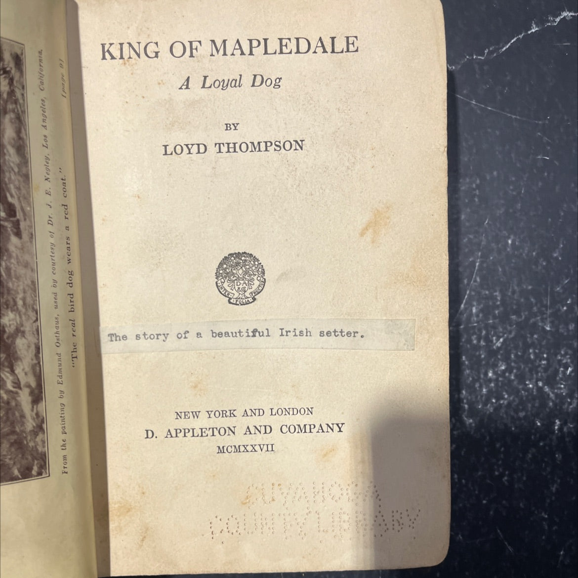 king of mapledale a loyal dog book, by loyd thompson, 1927 Hardcover image 2