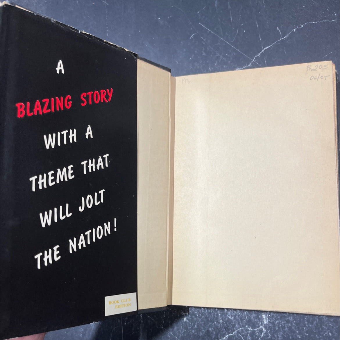 kingsblood royal book, by sinclair lewis, 1947 Hardcover image 4