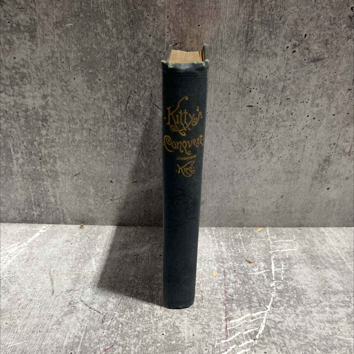 kitty's conquest book, by charles king, 1892 Hardcover image 4