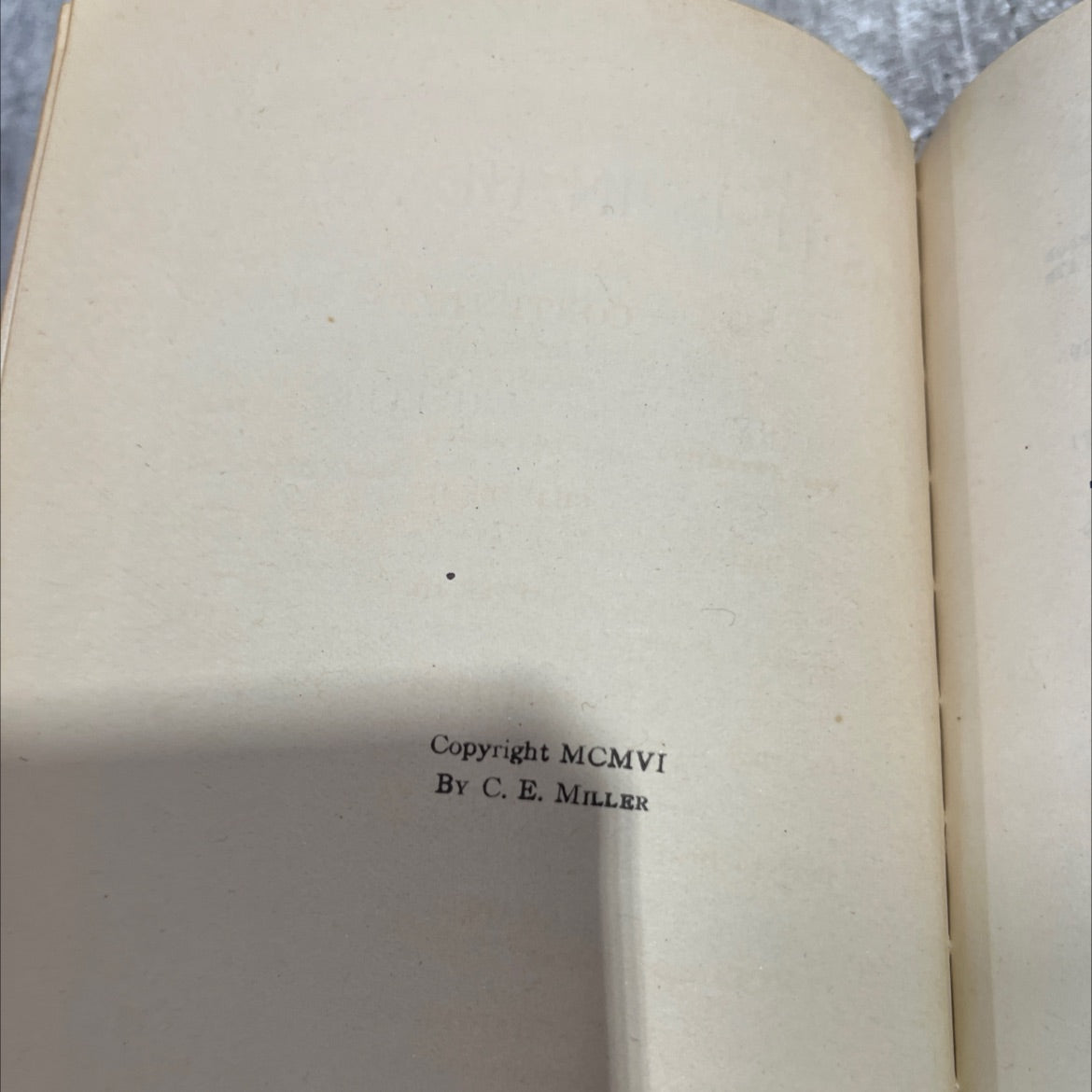 landscape as it is in heaven book, by mary sparkes wheeler, 1906 Hardcover image 3