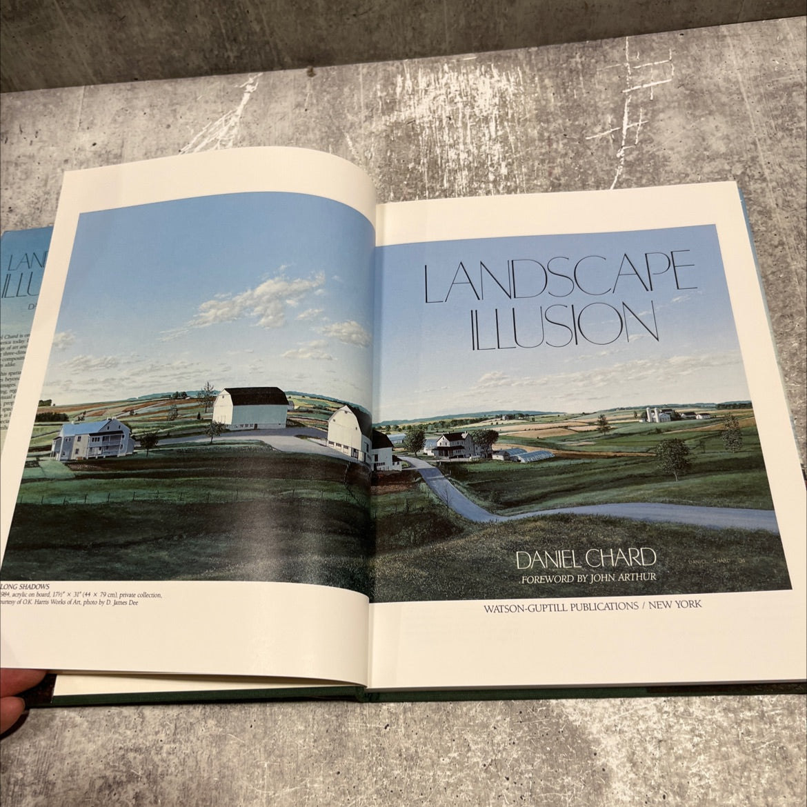 landscape illusion book, by Daniel Chard, 1987 Hardcover image 2
