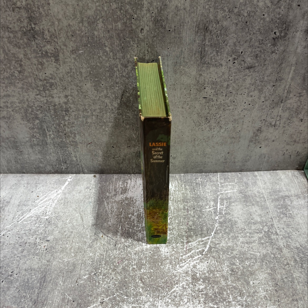 lassie and the secret of the summer book, by dorothea j. snow, 1958 Hardcover image 4