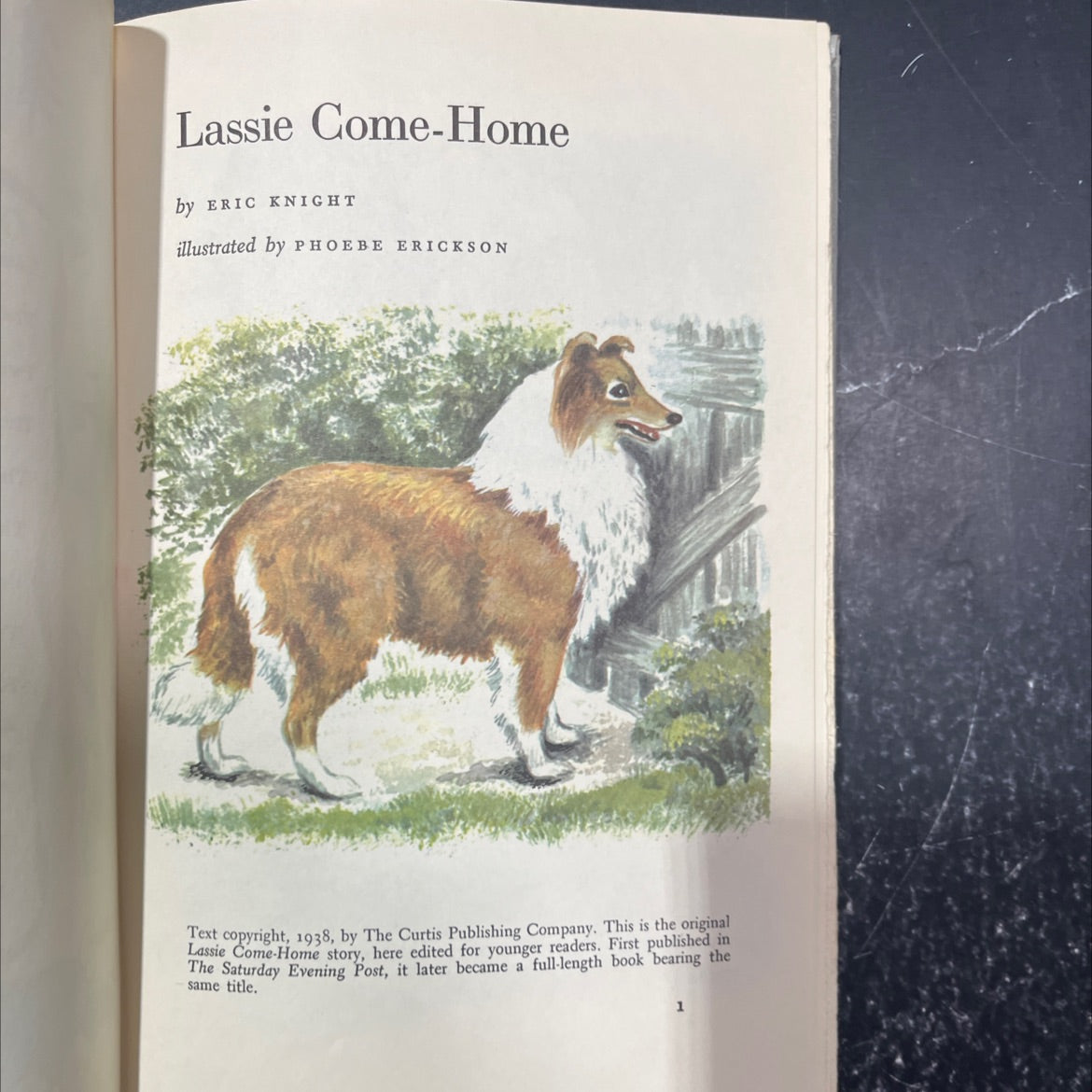 lassie come-home book, by eric knight, 1938 Hardcover image 2