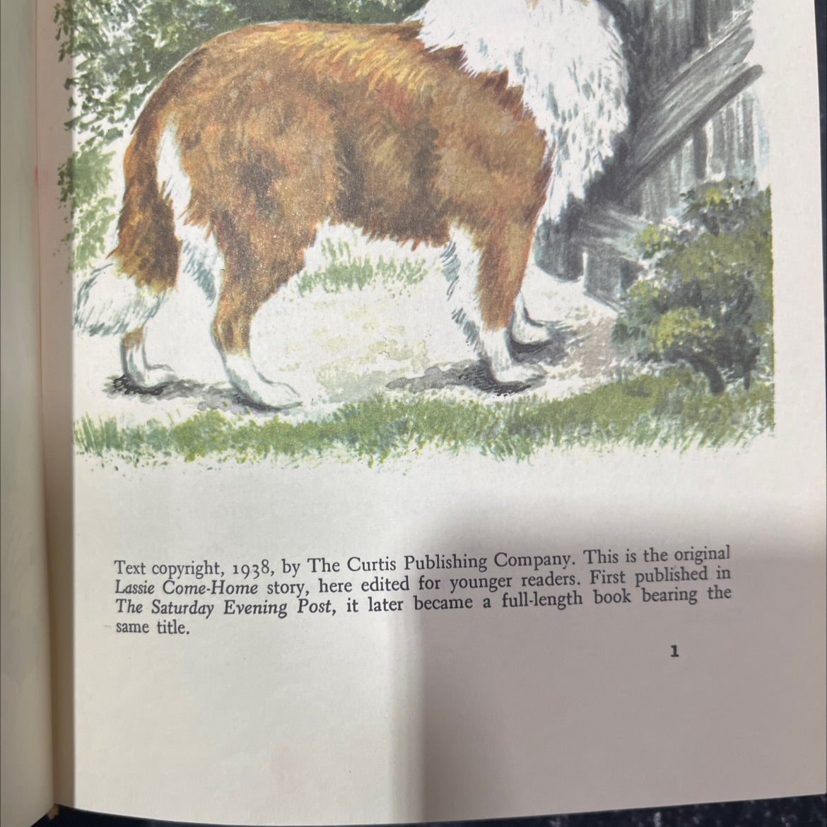 lassie come-home book, by eric knight, 1938 Hardcover image 3