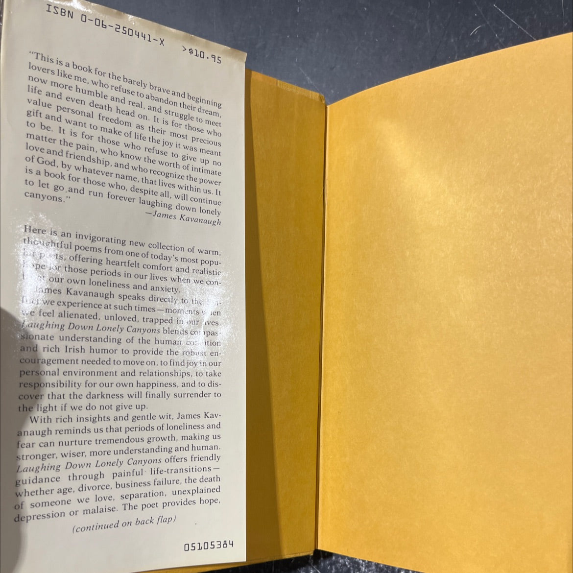 laughing down lonely canyons book, by James Kavanaugh, 1984 Hardcover image 4