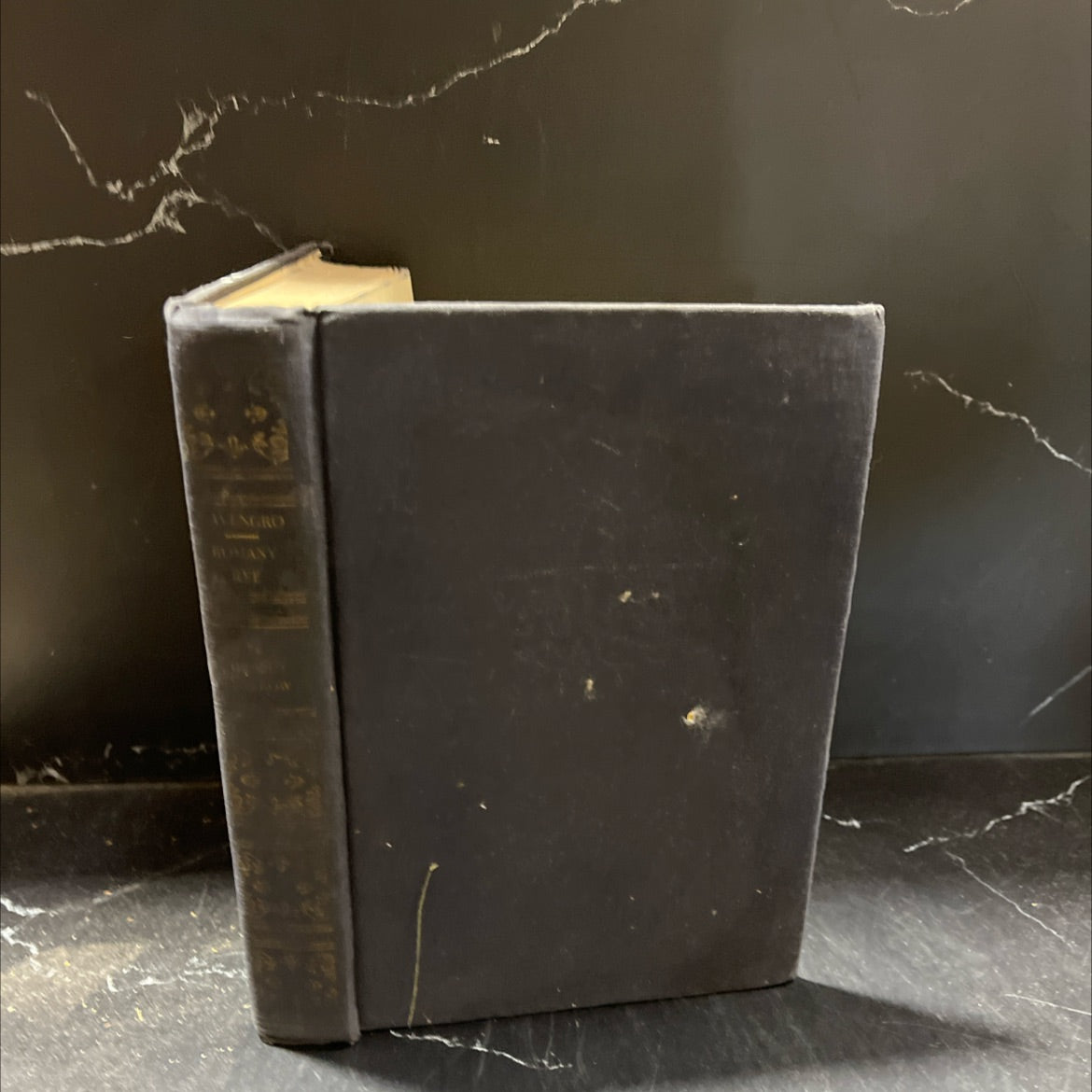 lavengro and the romany rye book, by george borrow, 1970 Hardcover image 1