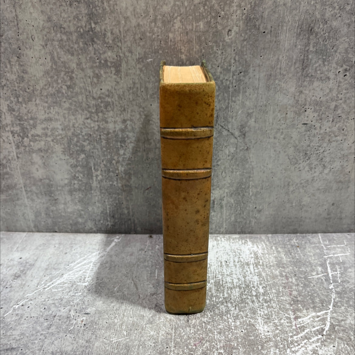 le renne blanc book, by c. violas brazzändle, 1953 Leather image 4