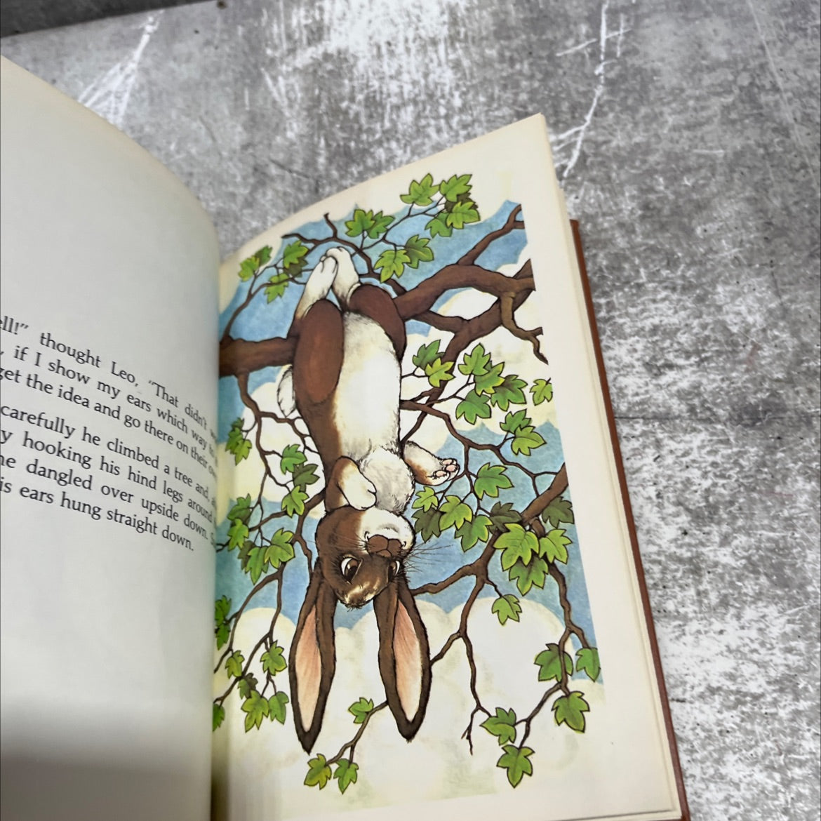 leo the lop book, by stephen cosgrove, 1977 Hardcover image 4