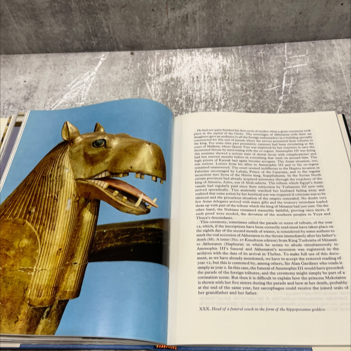 life and death of a pharaoh tutankhamen book, by christiane desroches-noblecourt, 1976 Hardcover image 4